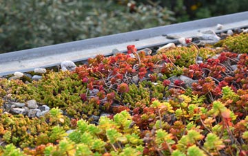 the cost of Kinfauns green roof installation
