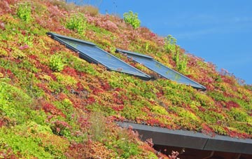 Kinfauns living roof systems